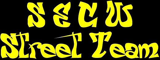 secwstreetteamlogo.jpg